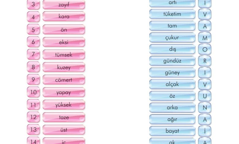 3. Sınıf İlke Yayınları Türkçe Ders Kitabı Sayfa 229 Cevapları