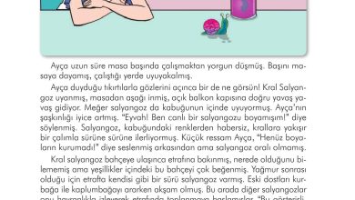 3. Sınıf İlke Yayınları Türkçe Ders Kitabı Sayfa 23 Cevapları