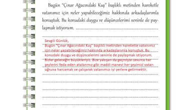 3. Sınıf İlke Yayınları Türkçe Ders Kitabı Sayfa 230 Cevapları