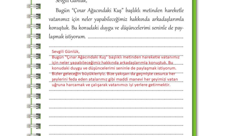 3. Sınıf İlke Yayınları Türkçe Ders Kitabı Sayfa 230 Cevapları