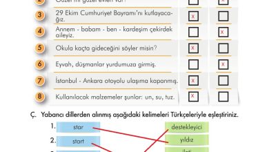 3. Sınıf İlke Yayınları Türkçe Ders Kitabı Sayfa 233 Cevapları