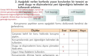 3. Sınıf İlke Yayınları Türkçe Ders Kitabı Sayfa 234 Cevapları