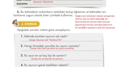 3. Sınıf İlke Yayınları Türkçe Ders Kitabı Sayfa 238 Cevapları