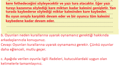 3. Sınıf İlke Yayınları Türkçe Ders Kitabı Sayfa 240 Cevapları