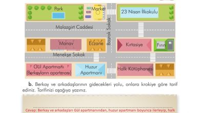 3. Sınıf İlke Yayınları Türkçe Ders Kitabı Sayfa 241 Cevapları