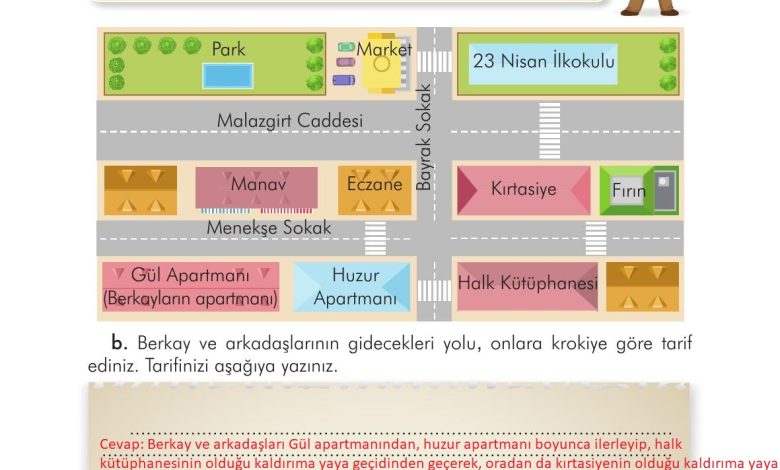 3. Sınıf İlke Yayınları Türkçe Ders Kitabı Sayfa 241 Cevapları