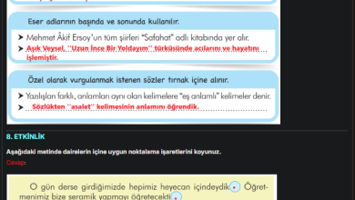 3. Sınıf İlke Yayınları Türkçe Ders Kitabı Sayfa 247 Cevapları