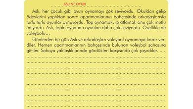 3. Sınıf İlke Yayınları Türkçe Ders Kitabı Sayfa 248 Cevapları