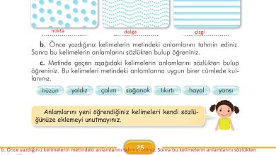 3. Sınıf İlke Yayınları Türkçe Ders Kitabı Sayfa 25 Cevapları