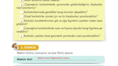 3. Sınıf İlke Yayınları Türkçe Ders Kitabı Sayfa 252 Cevapları