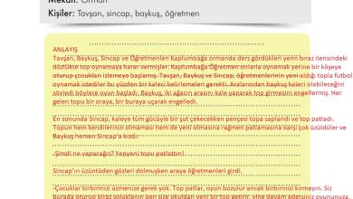 3. Sınıf İlke Yayınları Türkçe Ders Kitabı Sayfa 260 Cevapları