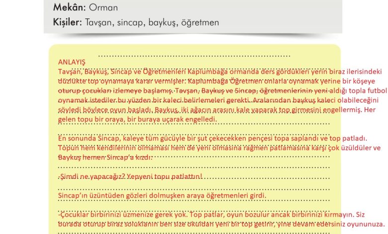 3. Sınıf İlke Yayınları Türkçe Ders Kitabı Sayfa 260 Cevapları