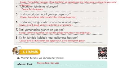 3. Sınıf İlke Yayınları Türkçe Ders Kitabı Sayfa 270 Cevapları