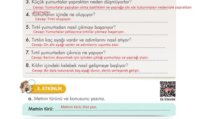 3. Sınıf İlke Yayınları Türkçe Ders Kitabı Sayfa 270 Cevapları