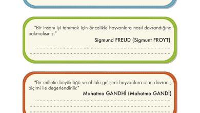 3. Sınıf İlke Yayınları Türkçe Ders Kitabı Sayfa 272 Cevapları