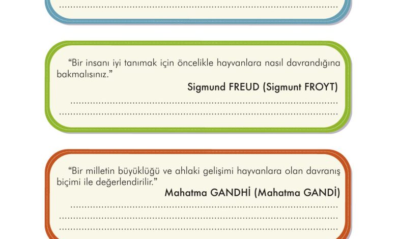 3. Sınıf İlke Yayınları Türkçe Ders Kitabı Sayfa 272 Cevapları