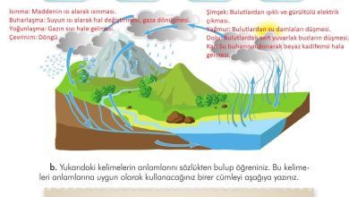 3. Sınıf İlke Yayınları Türkçe Ders Kitabı Sayfa 276 Cevapları