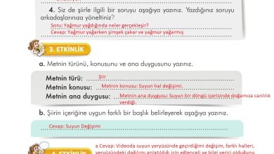 3. Sınıf İlke Yayınları Türkçe Ders Kitabı Sayfa 277 Cevapları