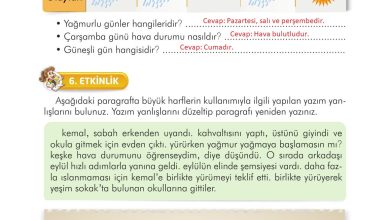 3. Sınıf İlke Yayınları Türkçe Ders Kitabı Sayfa 278 Cevapları