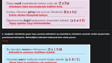 3. Sınıf İlke Yayınları Türkçe Ders Kitabı Sayfa 279 Cevapları