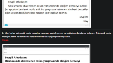 3. Sınıf İlke Yayınları Türkçe Ders Kitabı Sayfa 280 Cevapları