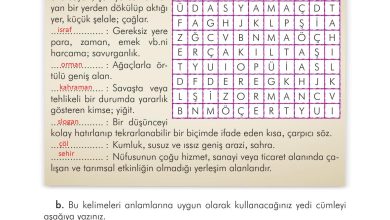 3. Sınıf İlke Yayınları Türkçe Ders Kitabı Sayfa 286 Cevapları