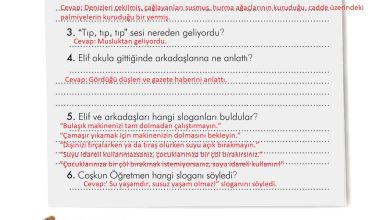 3. Sınıf İlke Yayınları Türkçe Ders Kitabı Sayfa 287 Cevapları