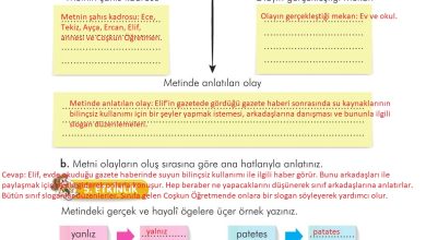 3. Sınıf İlke Yayınları Türkçe Ders Kitabı Sayfa 288 Cevapları