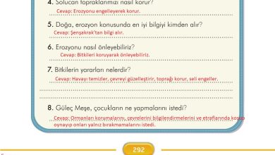 3. Sınıf İlke Yayınları Türkçe Ders Kitabı Sayfa 292 Cevapları