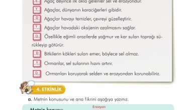 3. Sınıf İlke Yayınları Türkçe Ders Kitabı Sayfa 293 Cevapları