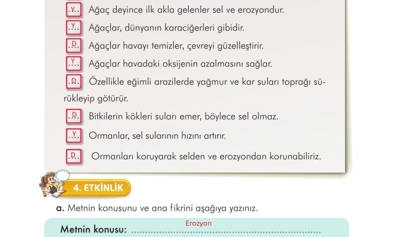 3. Sınıf İlke Yayınları Türkçe Ders Kitabı Sayfa 293 Cevapları