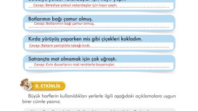 3. Sınıf İlke Yayınları Türkçe Ders Kitabı Sayfa 296 Cevapları