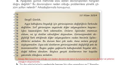 3. Sınıf İlke Yayınları Türkçe Ders Kitabı Sayfa 30 Cevapları