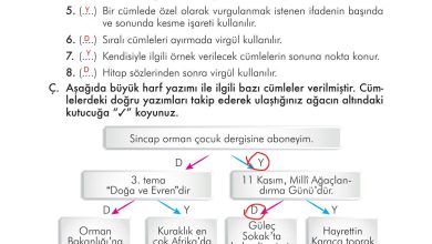 3. Sınıf İlke Yayınları Türkçe Ders Kitabı Sayfa 301 Cevapları