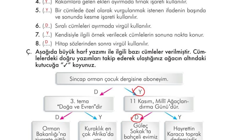 3. Sınıf İlke Yayınları Türkçe Ders Kitabı Sayfa 301 Cevapları