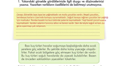 3. Sınıf İlke Yayınları Türkçe Ders Kitabı Sayfa 302 Cevapları