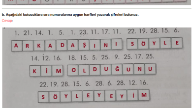 3. Sınıf İlke Yayınları Türkçe Ders Kitabı Sayfa 31 Cevapları