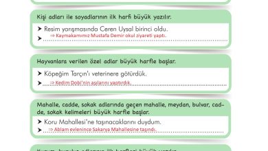 3. Sınıf İlke Yayınları Türkçe Ders Kitabı Sayfa 32 Cevapları