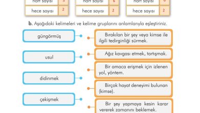 3. Sınıf İlke Yayınları Türkçe Ders Kitabı Sayfa 36 Cevapları