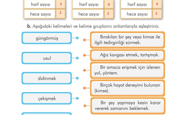 3. Sınıf İlke Yayınları Türkçe Ders Kitabı Sayfa 36 Cevapları