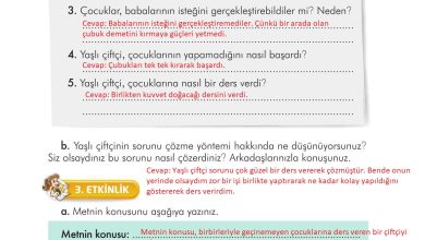 3. Sınıf İlke Yayınları Türkçe Ders Kitabı Sayfa 37 Cevapları