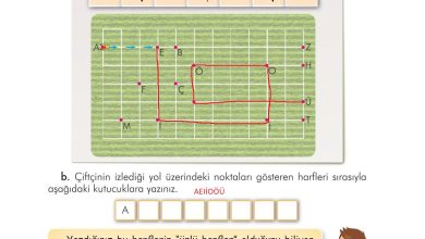 3. Sınıf İlke Yayınları Türkçe Ders Kitabı Sayfa 39 Cevapları