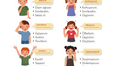 3. Sınıf İlke Yayınları Türkçe Ders Kitabı Sayfa 46 Cevapları