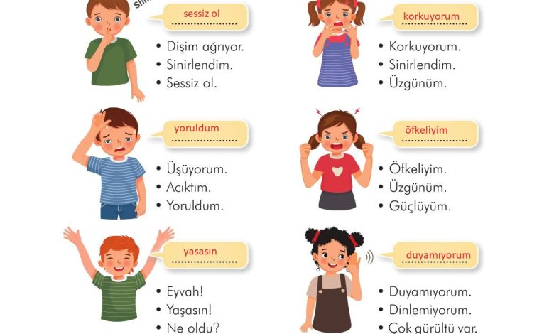 3. Sınıf İlke Yayınları Türkçe Ders Kitabı Sayfa 46 Cevapları