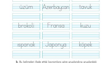 3. Sınıf İlke Yayınları Türkçe Ders Kitabı Sayfa 48 Cevapları