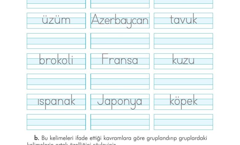 3. Sınıf İlke Yayınları Türkçe Ders Kitabı Sayfa 48 Cevapları