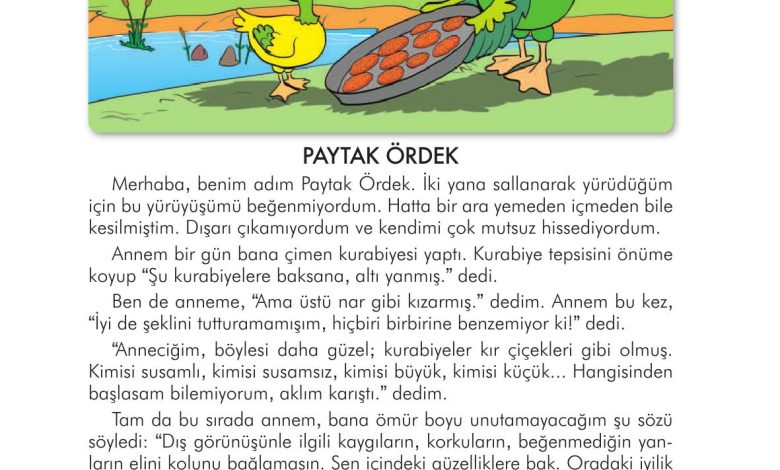 3. Sınıf İlke Yayınları Türkçe Ders Kitabı Sayfa 49 Cevapları