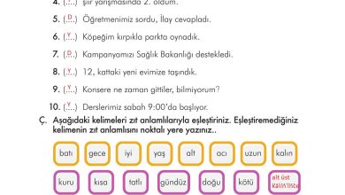 3. Sınıf İlke Yayınları Türkçe Ders Kitabı Sayfa 51 Cevapları