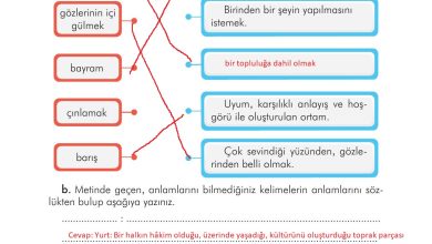 3. Sınıf İlke Yayınları Türkçe Ders Kitabı Sayfa 55 Cevapları