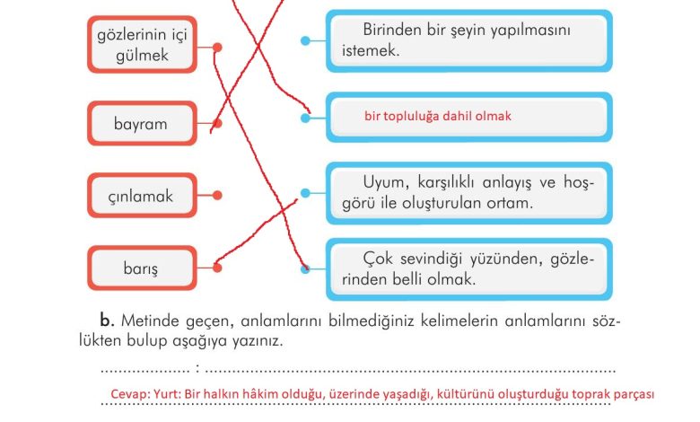 3. Sınıf İlke Yayınları Türkçe Ders Kitabı Sayfa 55 Cevapları